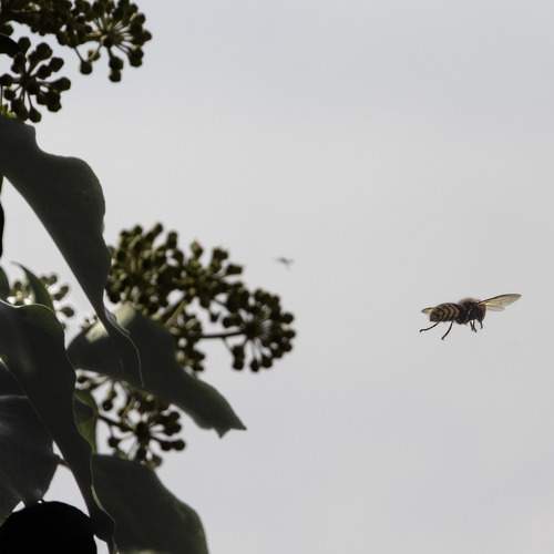 Photo #8736479