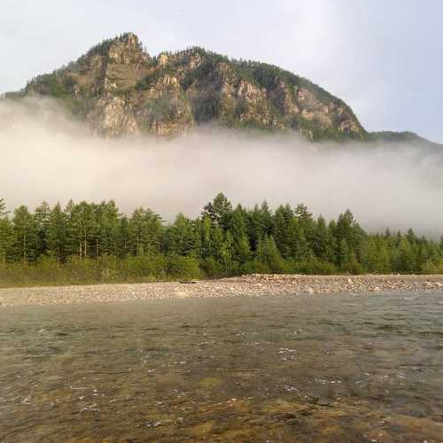 Photo #8736704