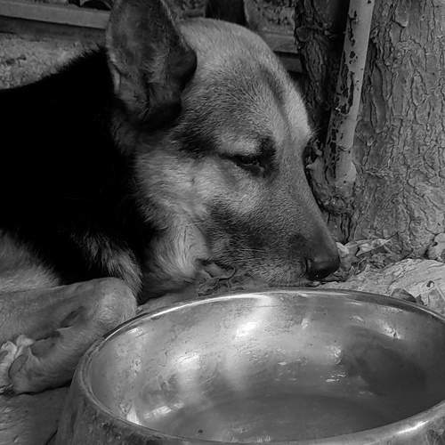 Photo #8736763