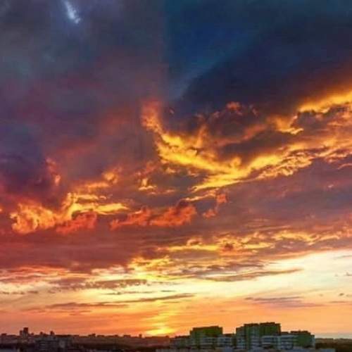 Photo #8736776