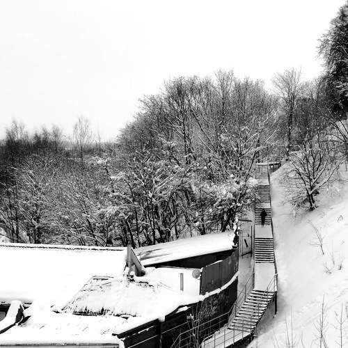 Photo #8736885