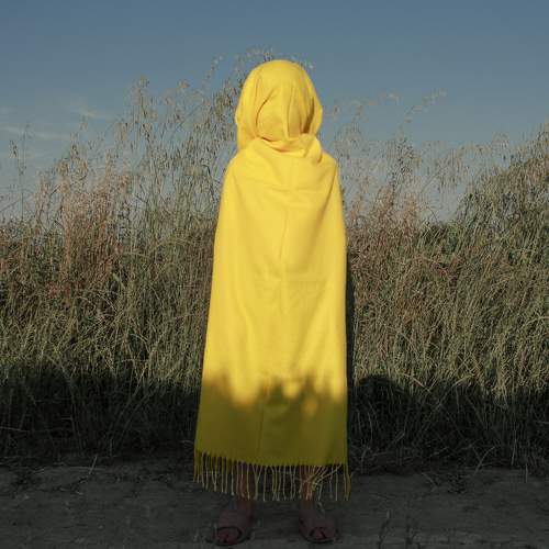 Photo #8737217