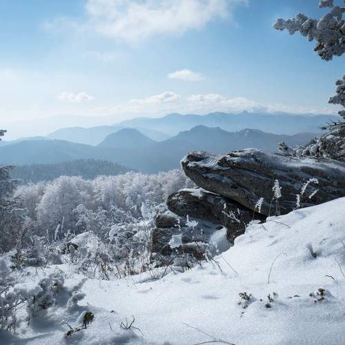 Photo #8737236