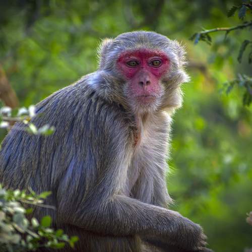 Photo #8737238