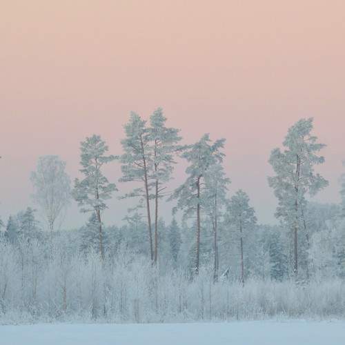 Photo #8737590
