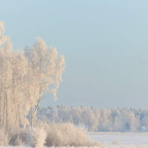Photo #8737599