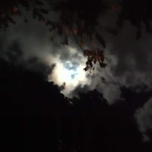 Photo #8737600