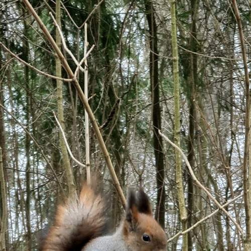 Photo #8737642