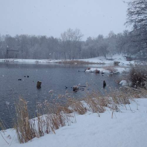 Photo #8737881