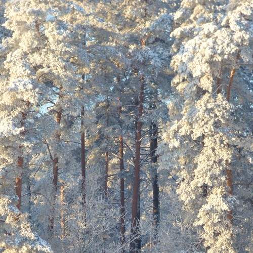 Photo #8737936