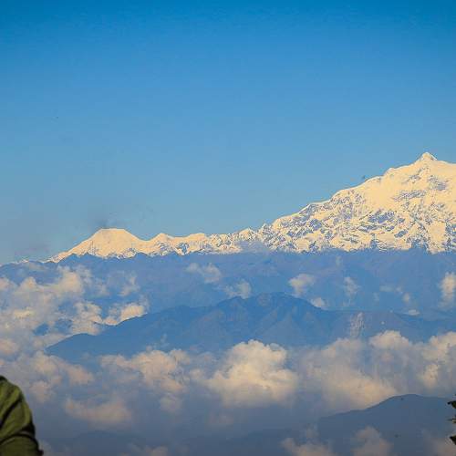 Photo #8738454