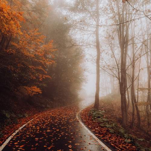 Photo #8738480