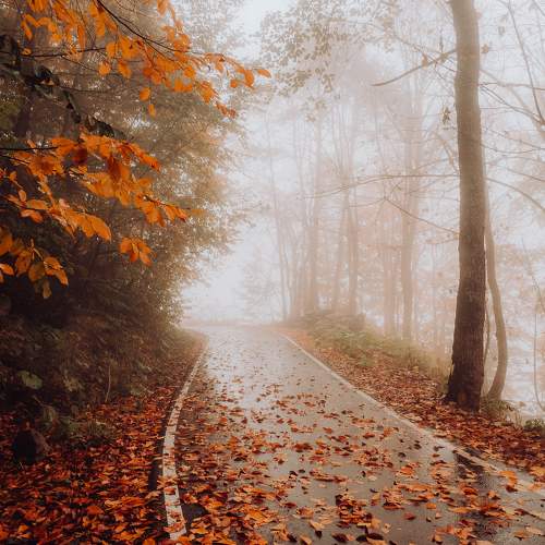 Photo #8738504