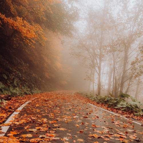 Photo #8738534