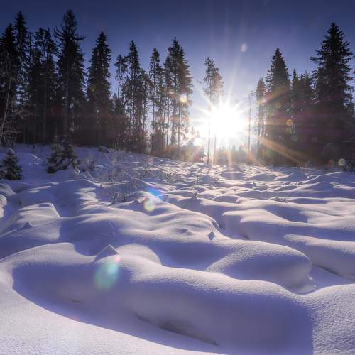 Photo #8738565