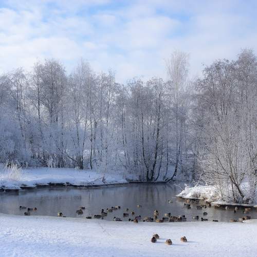 Photo #8738583