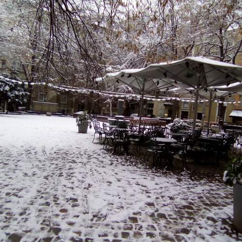 Photo #8738614