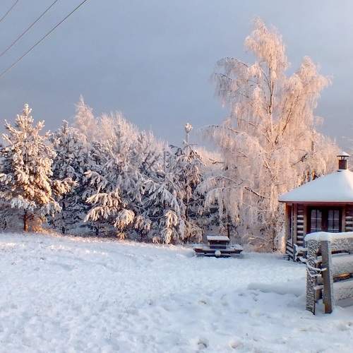 Photo #8738622