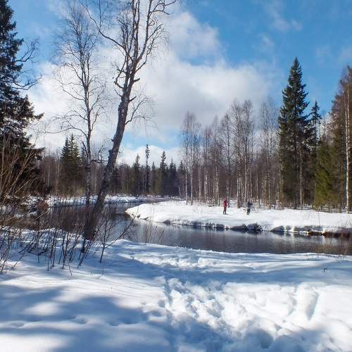 Photo #8738623
