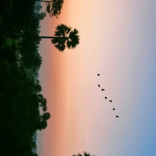 Photo #8738895
