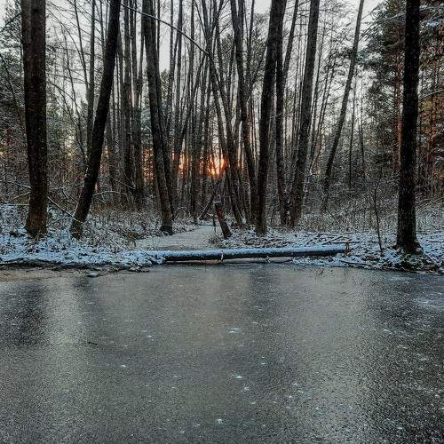 Photo #8739226
