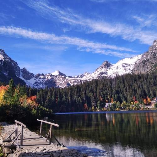 Photo #8739234
