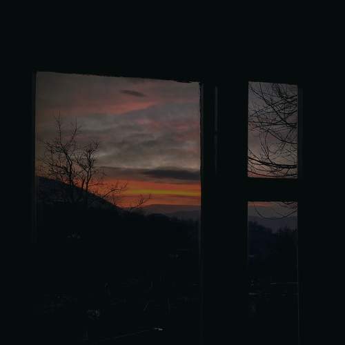 Photo #8739311