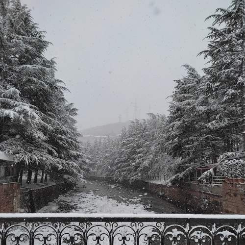 Photo #8739421