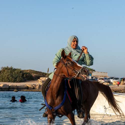 Photo #8739457
