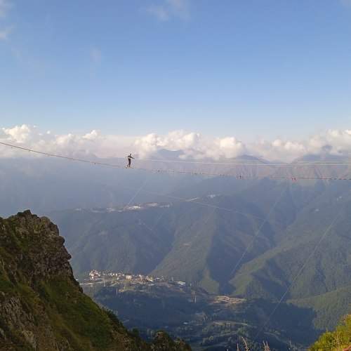 Photo #8739776