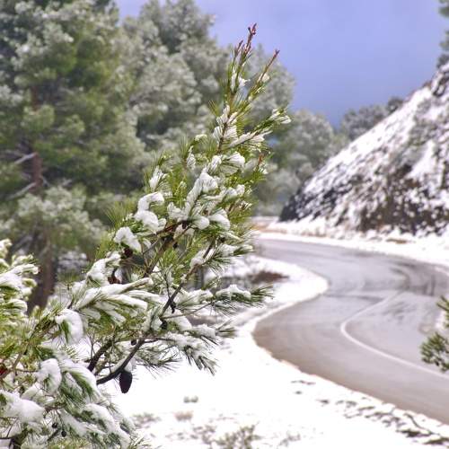 Photo #8739840