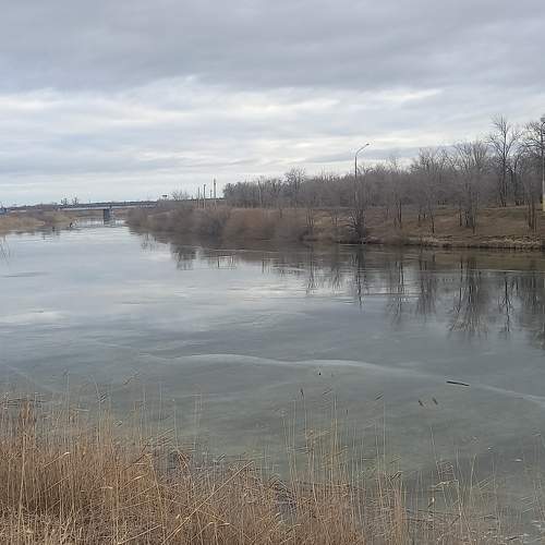 Photo #8739955