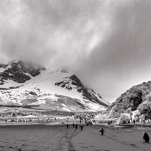 Photo #8740046