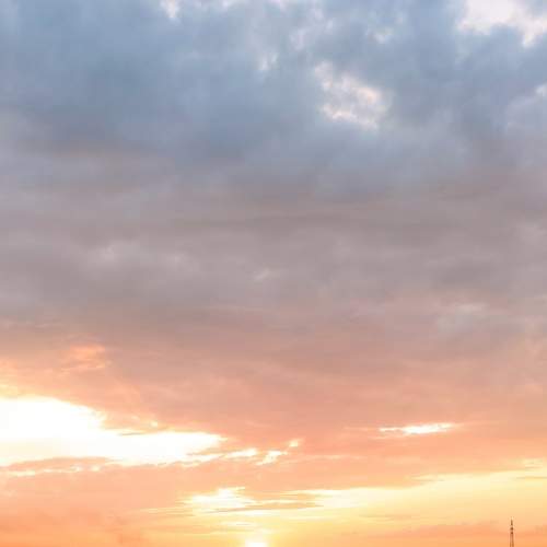 Photo #8740169