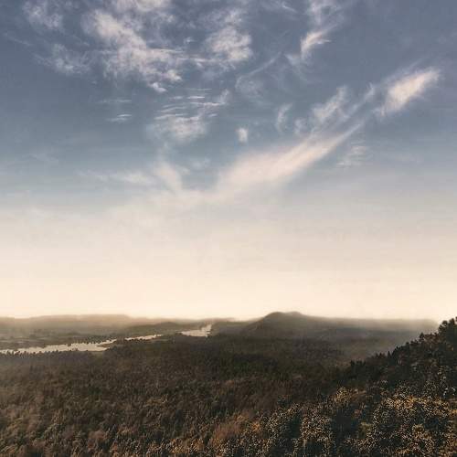 Photo #8740226