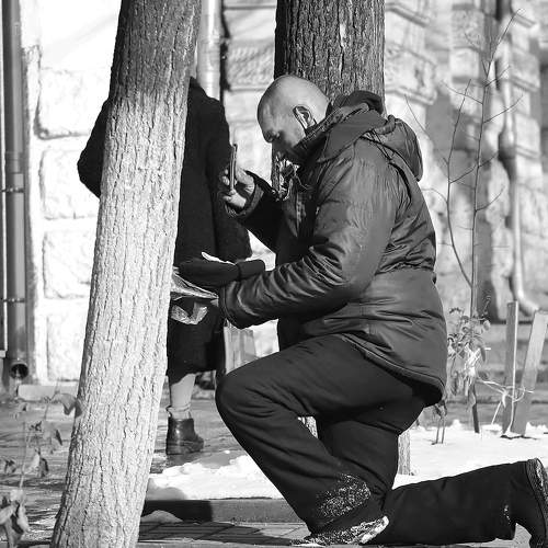 Photo #8740466