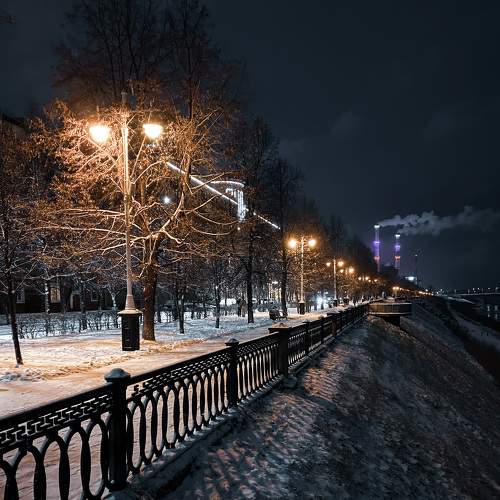 Photo #8740527