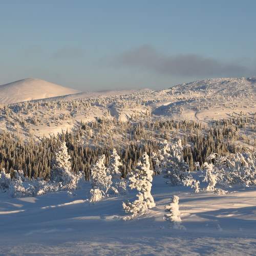 Photo #8740531