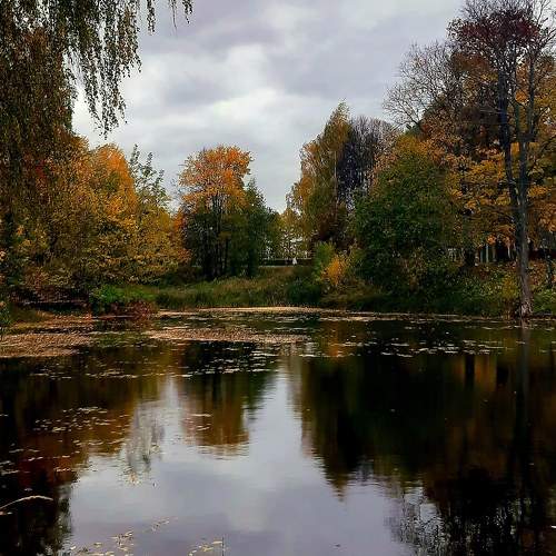 Photo #8740817