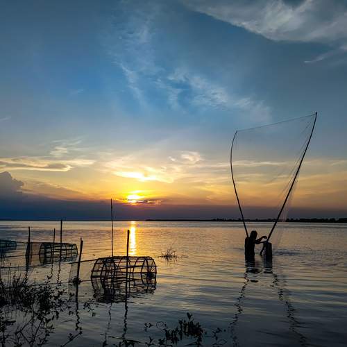Life in water