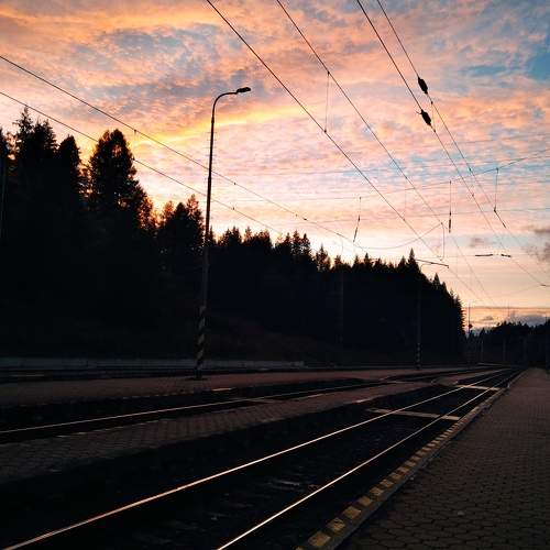Photo #8741016