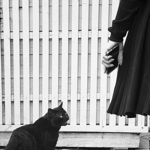 Photo #8741031