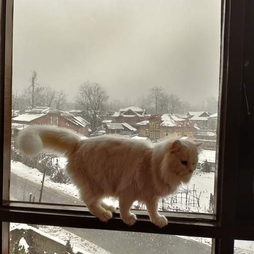 Photo #8741381