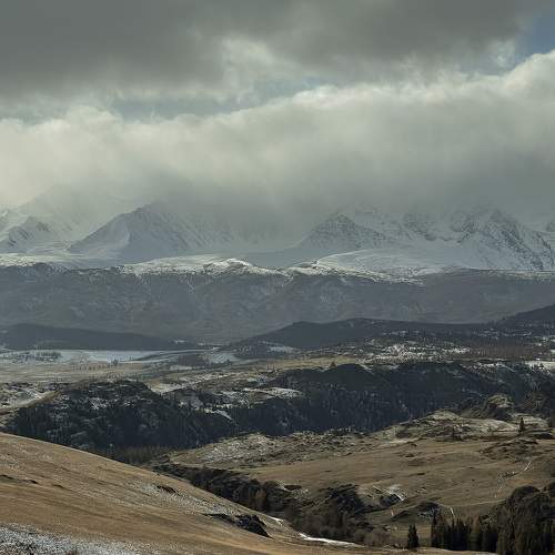 Photo #8741440