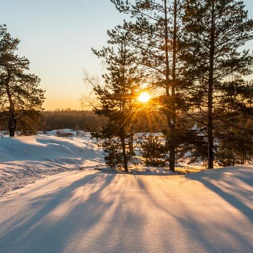 Photo #8741515