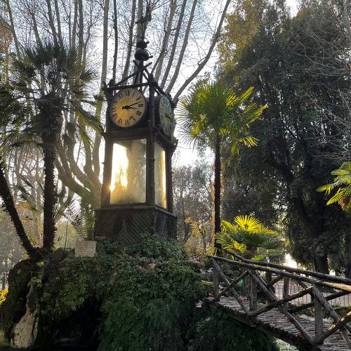 Photo #8741548