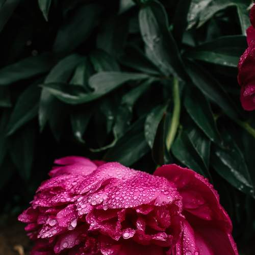 Photo #8741603