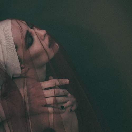 Photo #8741679