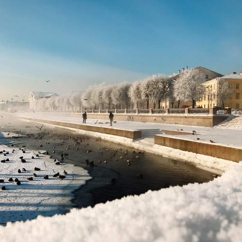 Photo #8742390