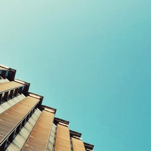 Photo #8742491